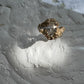 1 CARAT OVAL