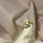 TEAL BLUE PARAIBA SNAKE